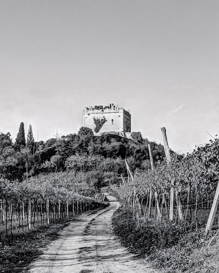 Veduta del Castello di Illasi